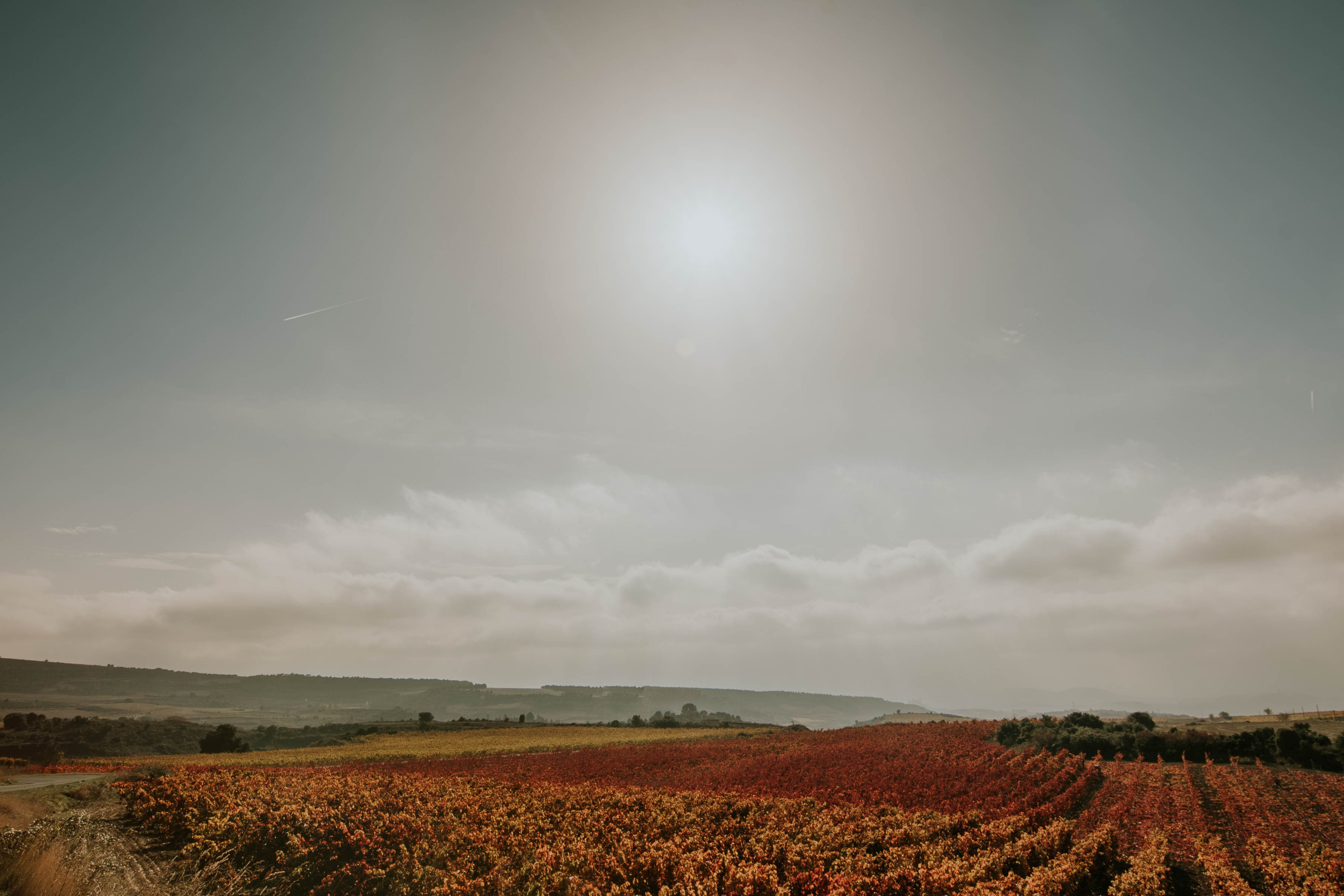 Bodegas Franco-Españolas obtiene la certificación SWfCP